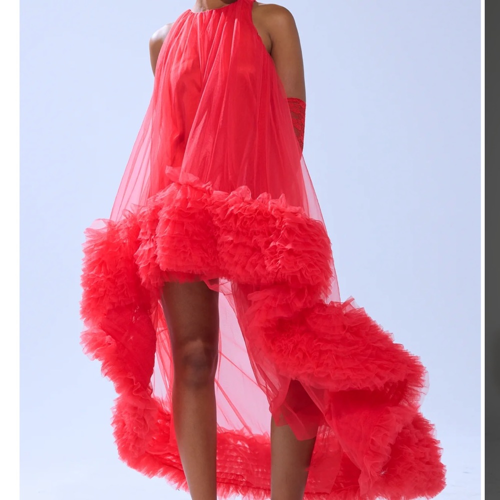 BRAND NEW - AKIRA Red Ruffled Maxi Dress
